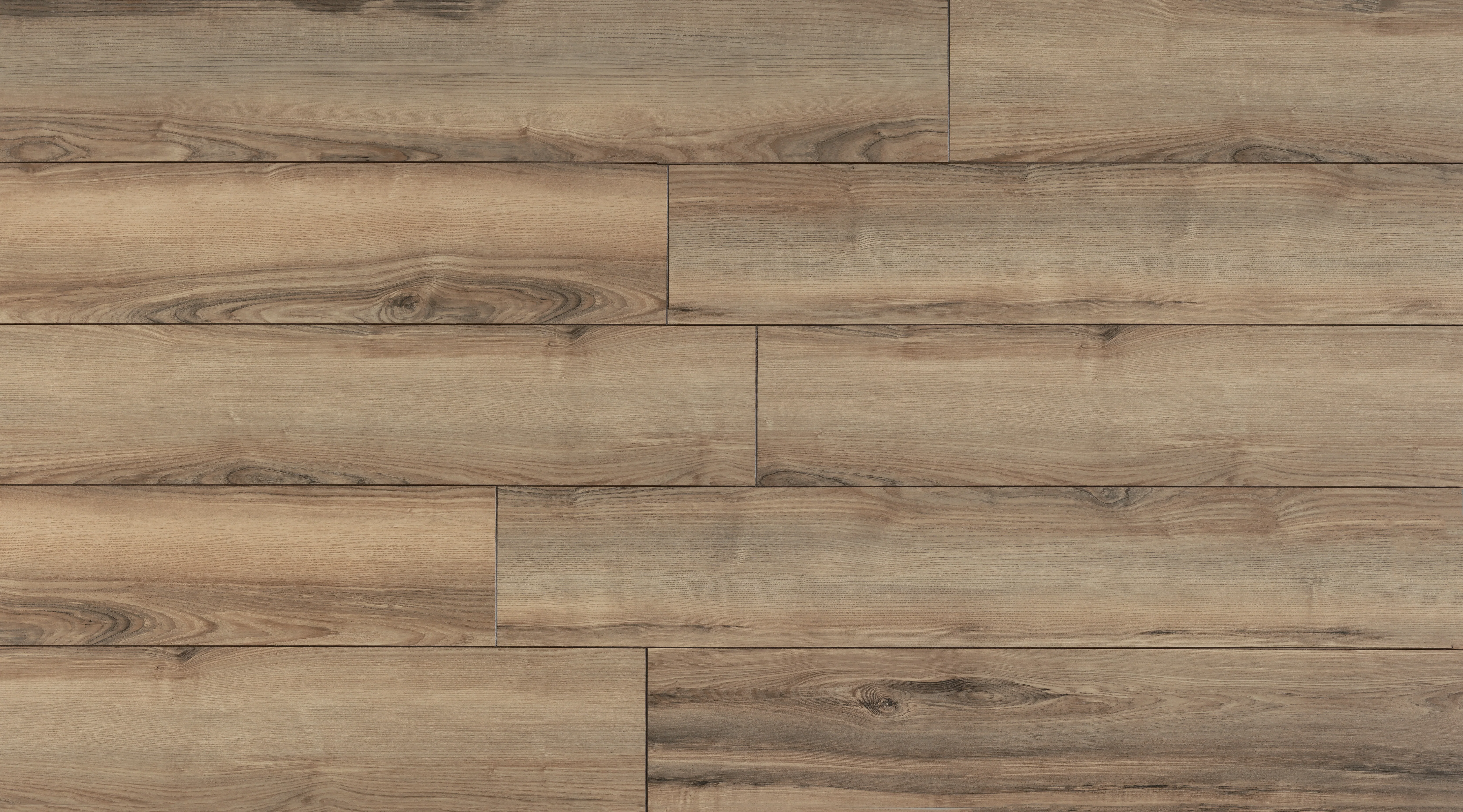 12mm Sunswept Ash Laminate Flooring - Sample - Image 3