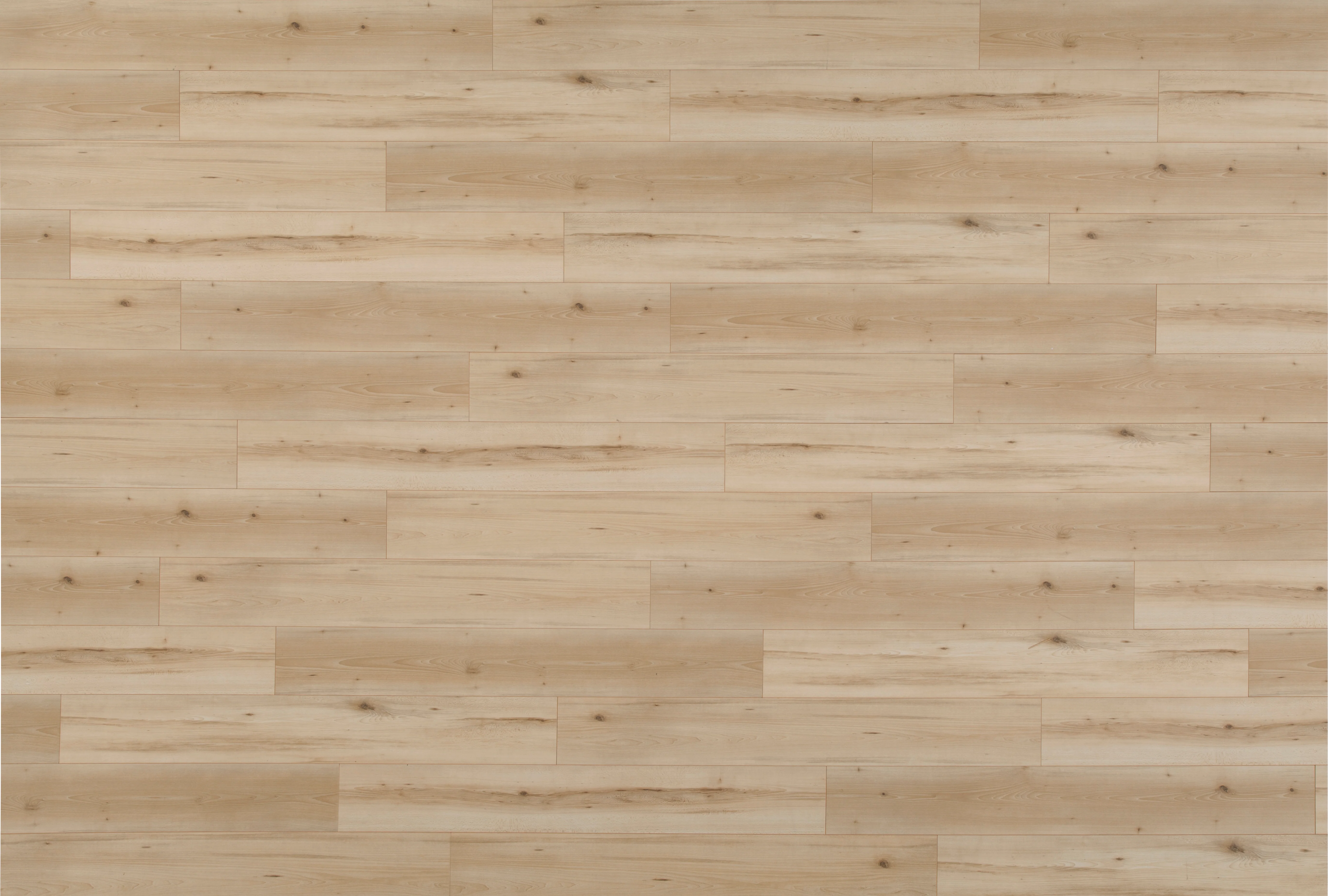 8mm Lake Constance Beech Laminate Flooring - Sample - Image 3
